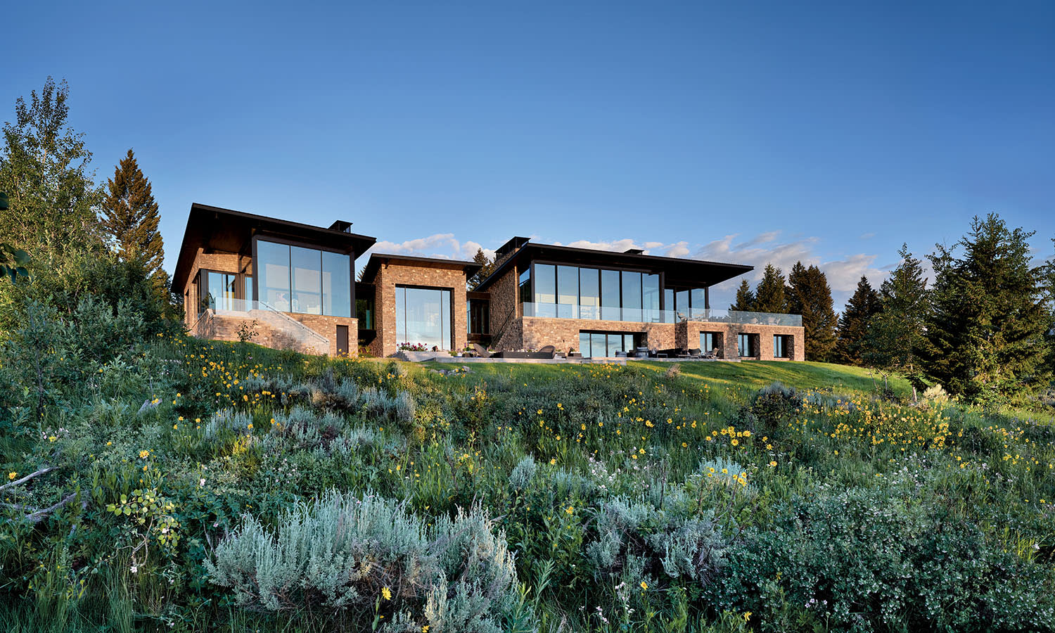 Modern house with large windows sits on a grassy hill, surrounded by wildflowers and tall trees, under a clear blue sky at sunset.