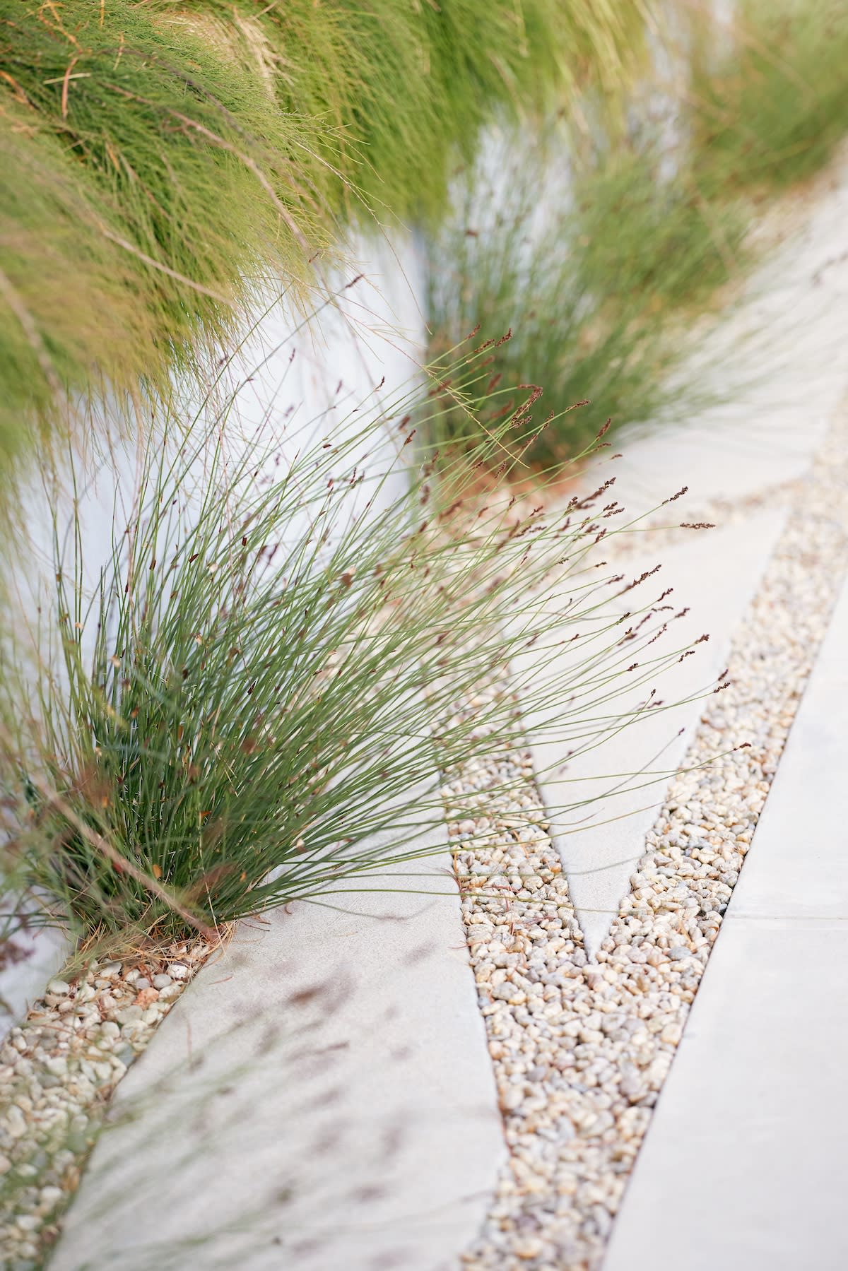 A serene walkway featuring a blend of grass and stones, creating a tranquil outdoor setting.