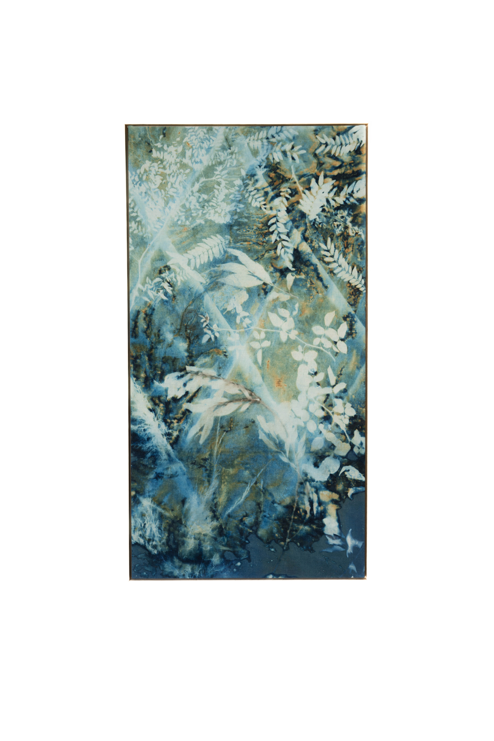 a floral cyanotype by Kristen Abbott