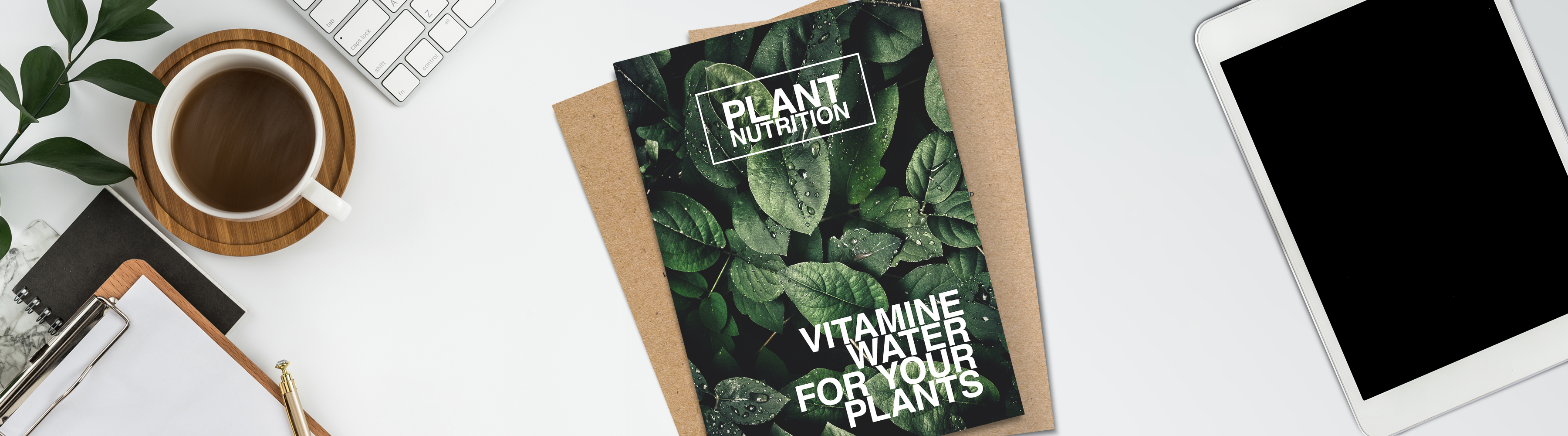 Come scegliere il materiale eco per i tuoi flyer