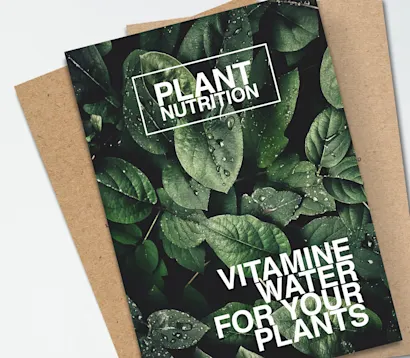 Hoe Kies Je Het Juiste Eco-Flyer Materiaal