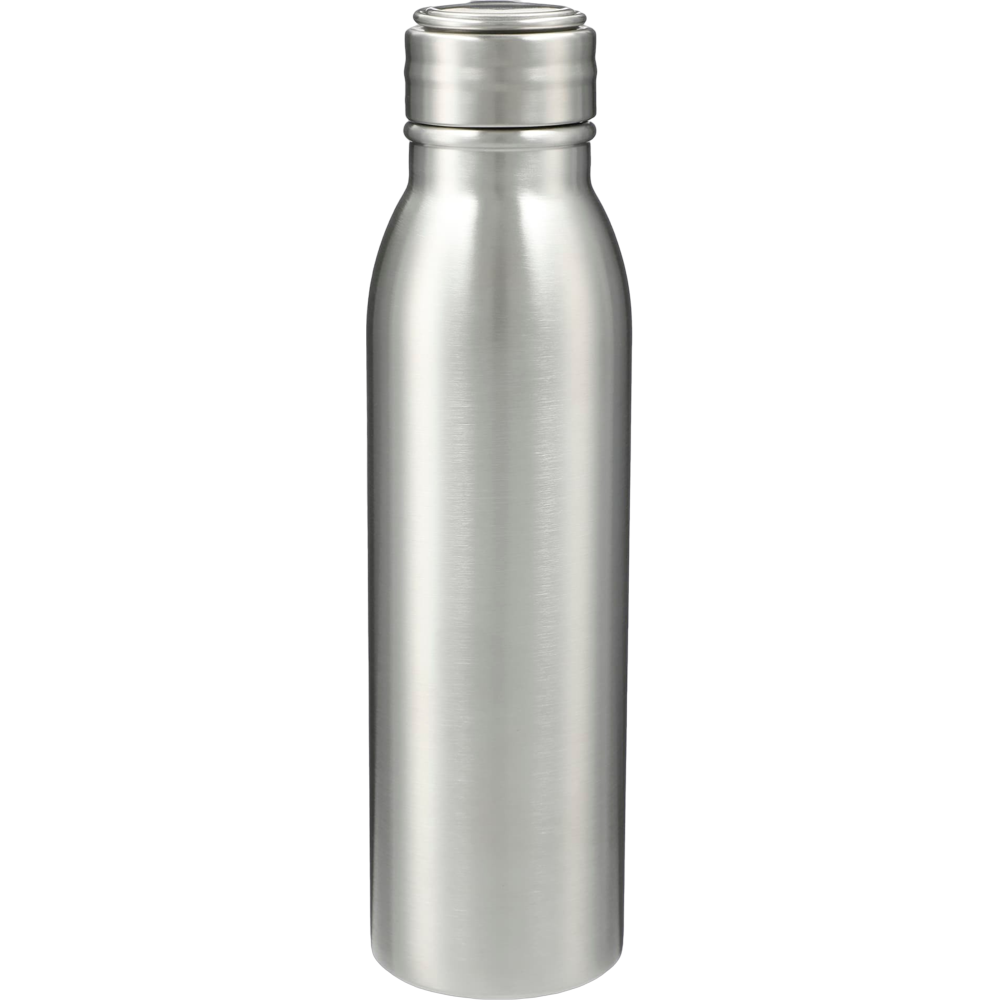 vida24ozstainlesssteelbottle.color.silver - vida24ozstainlesssteelbottle_silver