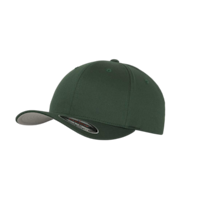 COLOR - flexfitwoolycombedcap - spruce