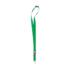 ICON - lanylanyardhookandbuckle20mm green