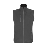 Gris anthracite