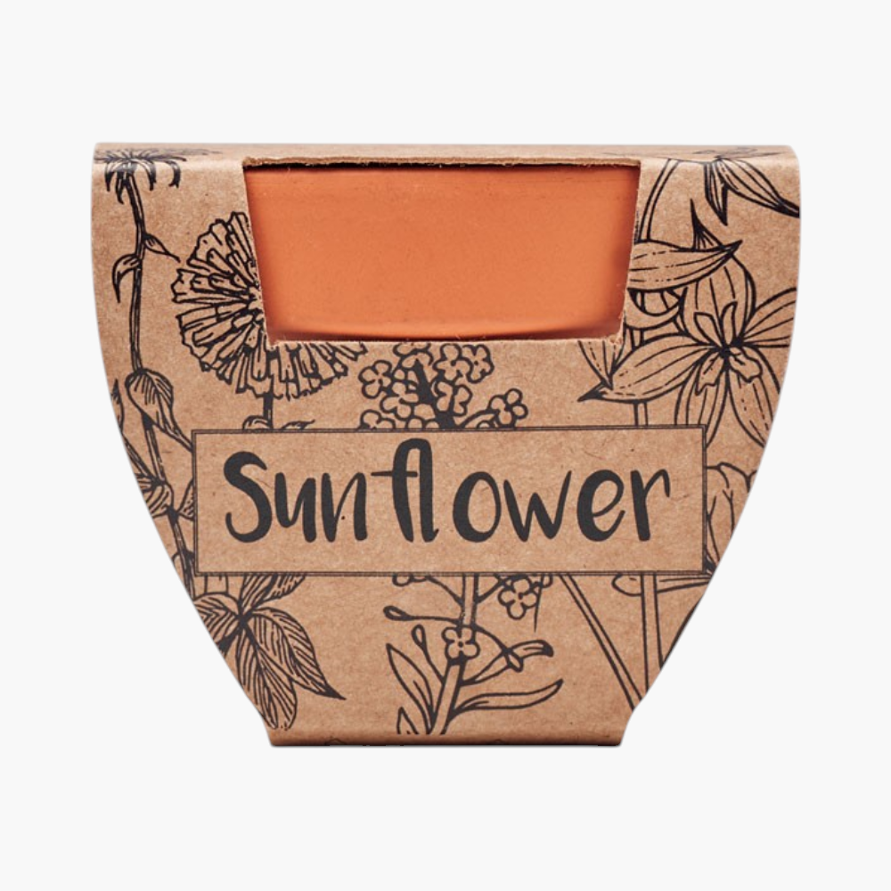 PDP - sunflowerterracottapotsunflower square #F8F8F8 background