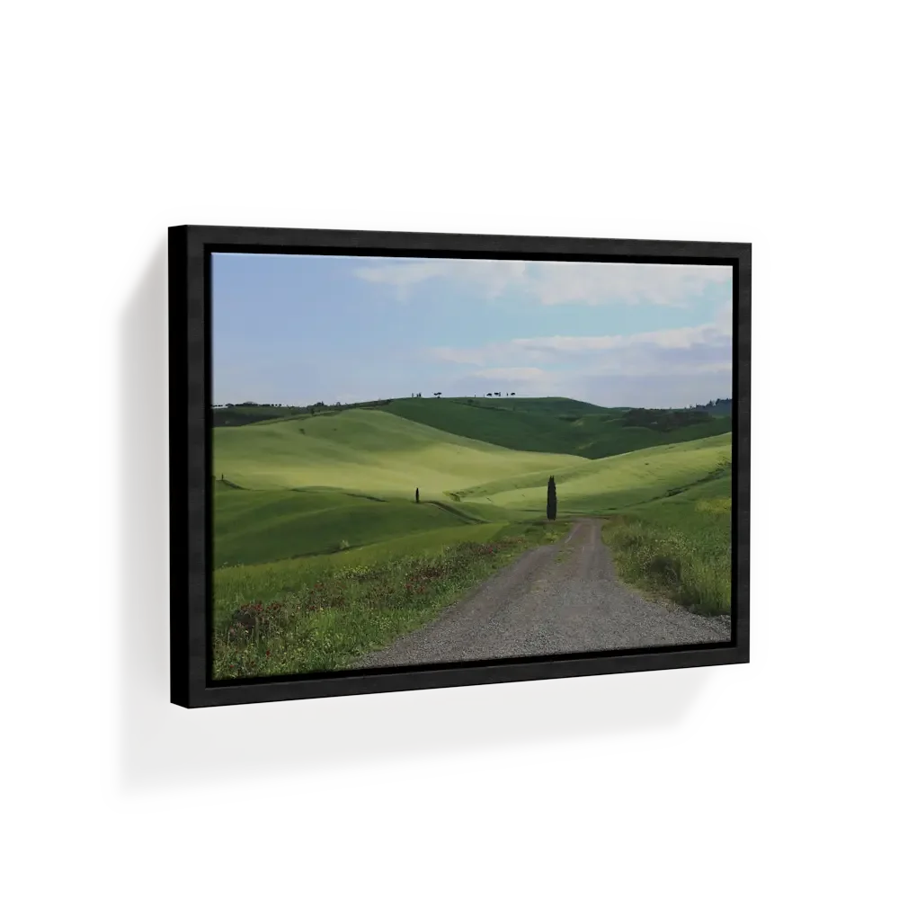 Stretched Canvas Frame Prints