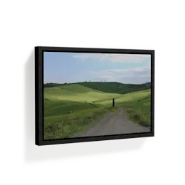 Stretched Canvas Frame Prints 