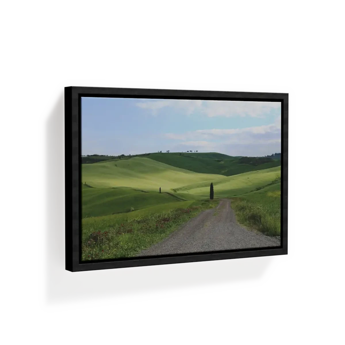 Stretched Canvas Prints main image