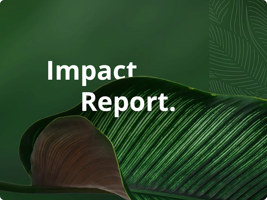 Our Impact Report