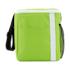 ICON - accentrecycled12canlunchcooler lime