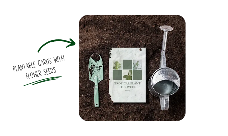 Plantable Postcards