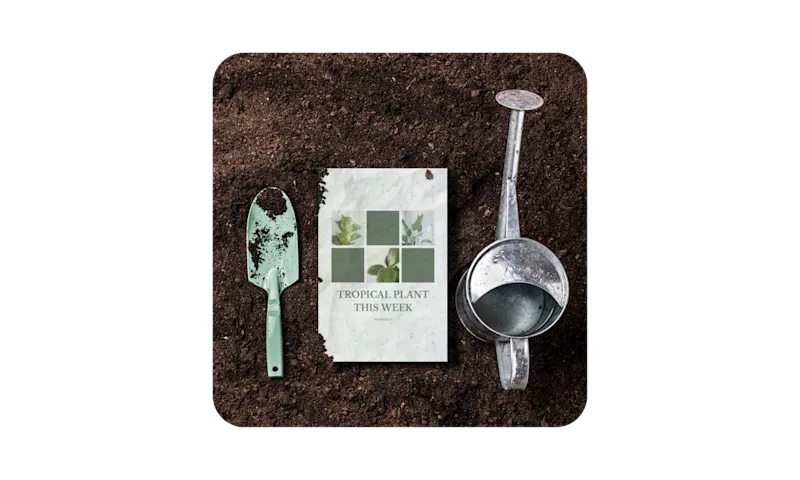 Plantable Postcards