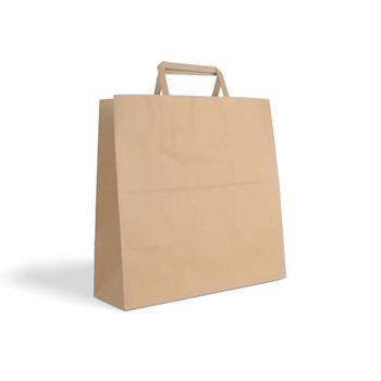 Disposable Takeaway Bags color big icon Copy 2