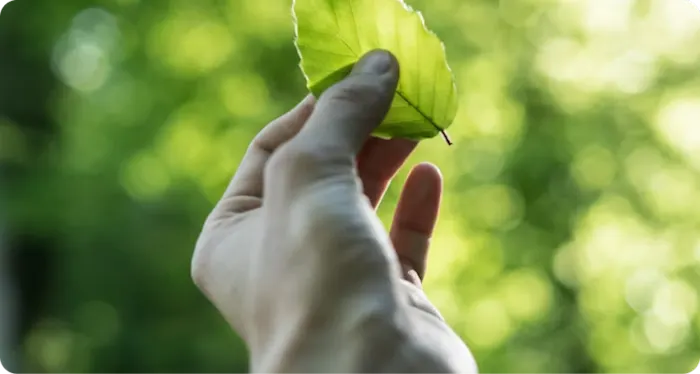 90% via sustainable suppliers