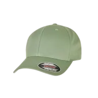 Verde foglia scuro