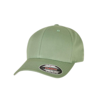 COLOR - flexfitwoolycombedcap - dark leaf green
