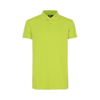 0525_lime_icon