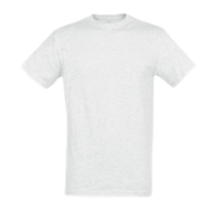 ICON - ash (tshirtsbudgetsols)