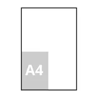 43 x 63.5 cm