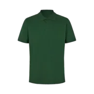Verde bottiglia