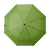 Vert clair
