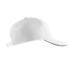 White French Navy