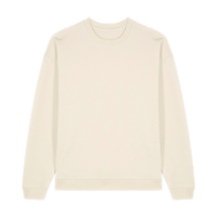 ICON - stanleystellatheoversizedcrewnecksweatshirt natural_raw