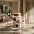 sipperglass setting2