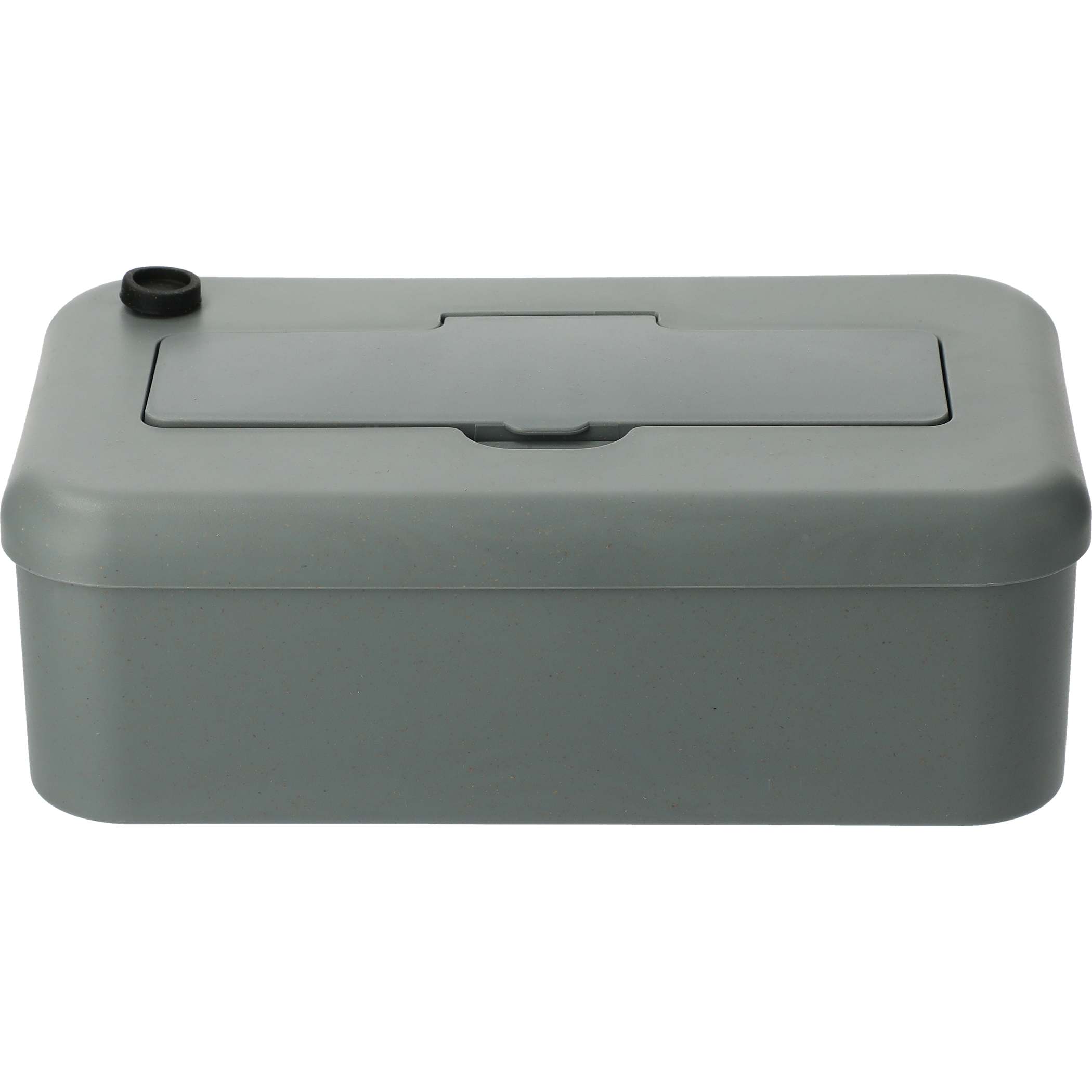 Attribute - Color - Gray (bamboofiberlunchboxwithutensils.color.gray)