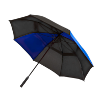 Bleu royal