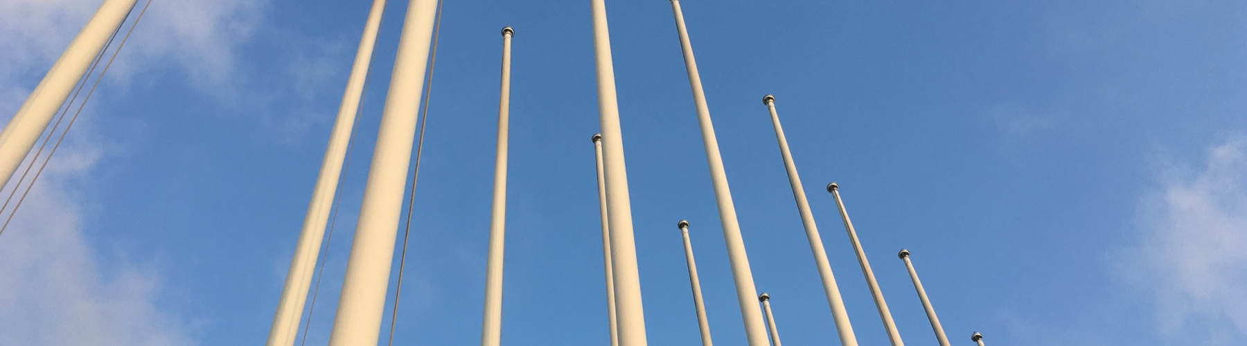 Uitleg over de typen vlaggenmasten