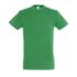 ICON - kelly green (tshirtsbudgetsols)