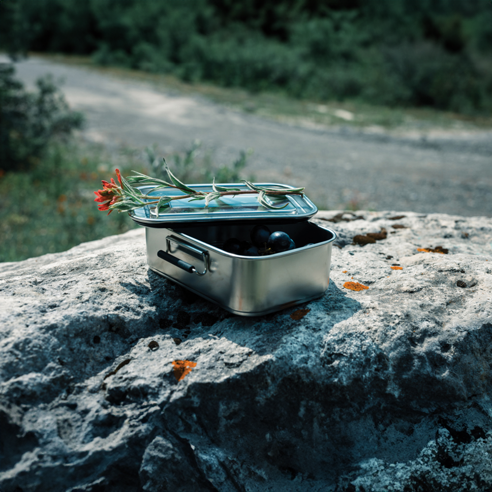 rcsstainlesssteelleakprooflunchbox setting3