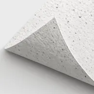 Seed Paper