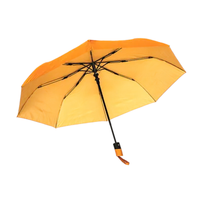 Impact AWARE 190T Mini Auto Open Umbrella