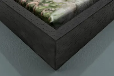 Ingelijst canvas