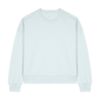 ICON - stanleystellathewomenscrewnecksweatshirt blue_ice