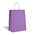 Purple Kraft bags color big icons