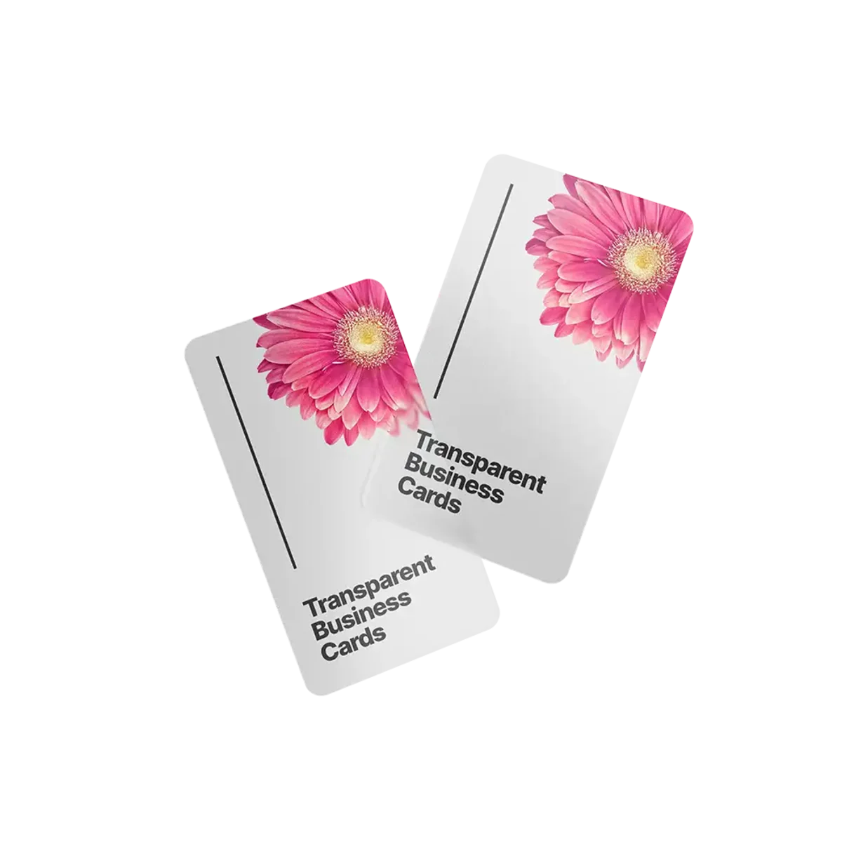 PVC Cards transparent main image