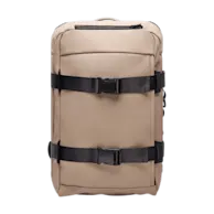 Beige / Grey