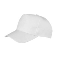 ICON - bostonprinterscap white