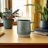 bellinimug360ml settings 2