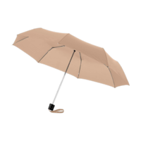 Haferflocken