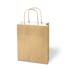 Kraft Paper Bags with white big image color icon
