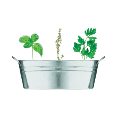 Kit di coltivazione semi di erbe aromatiche e tinozza di zinco