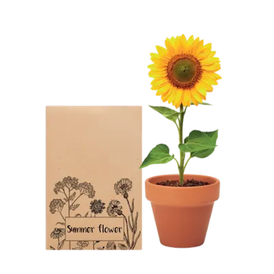 Plants