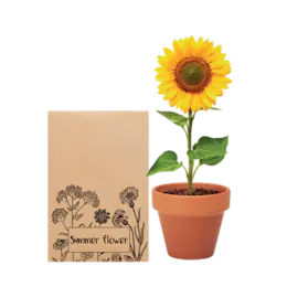 Plants