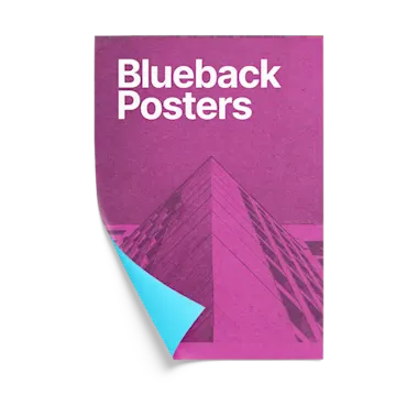 Affiches dos bleu