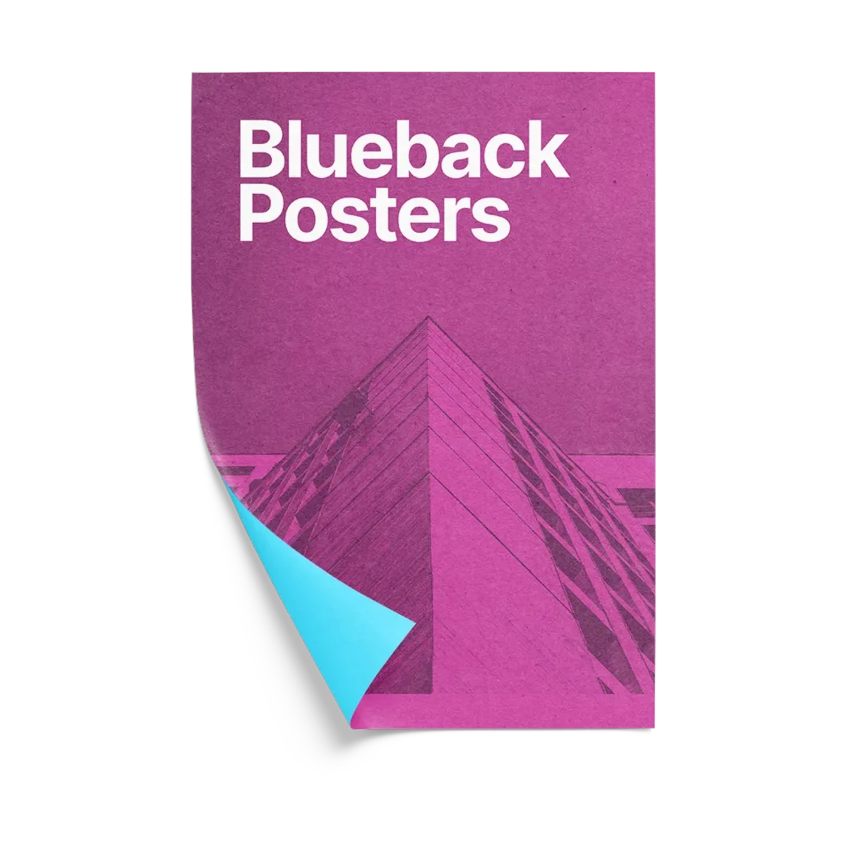 Blueback Poster Paper main image